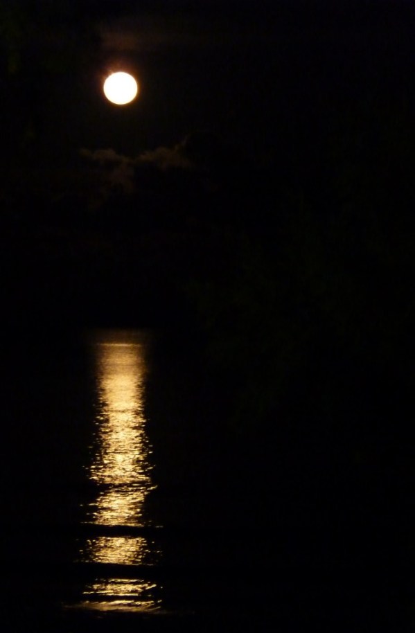 Moon on the water