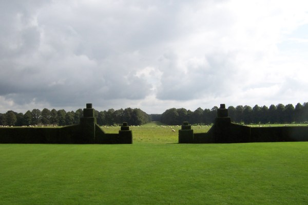Looking down the stem