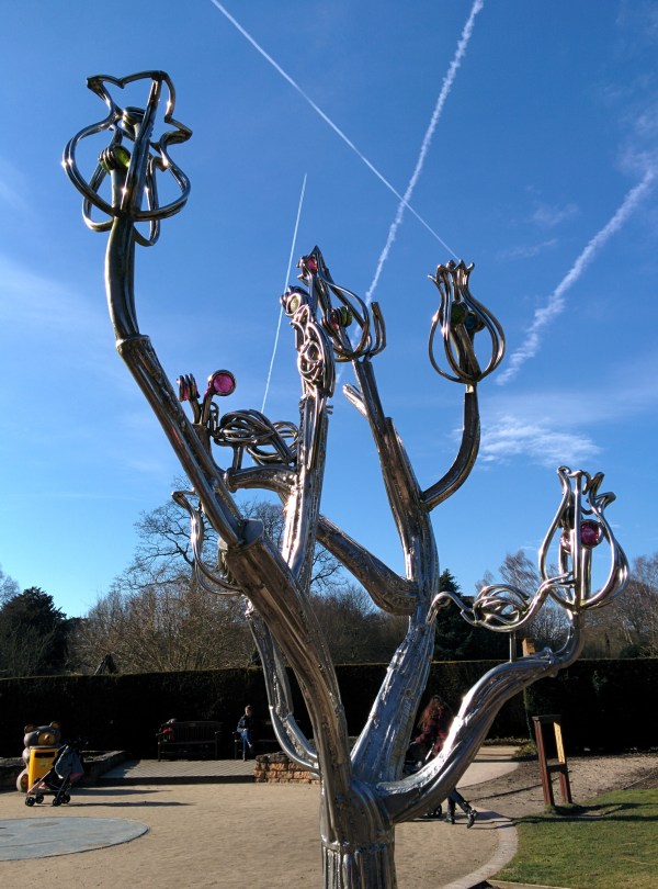 Tulip Tree by Hilary Cartmel