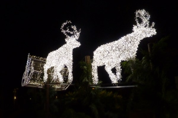Sleigh lights