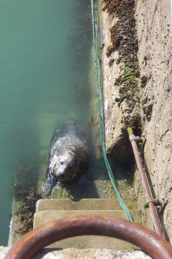 Come and have a swim