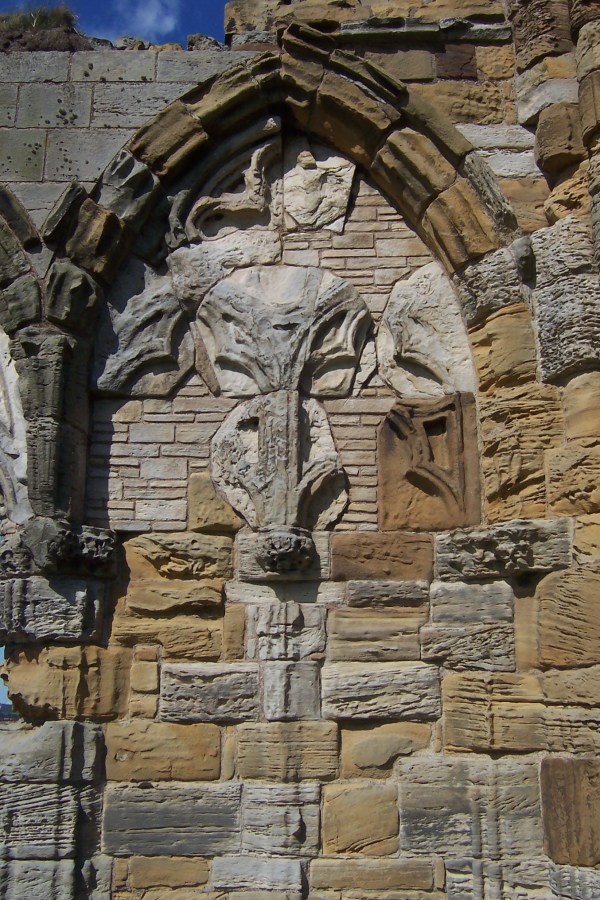 Horses head
