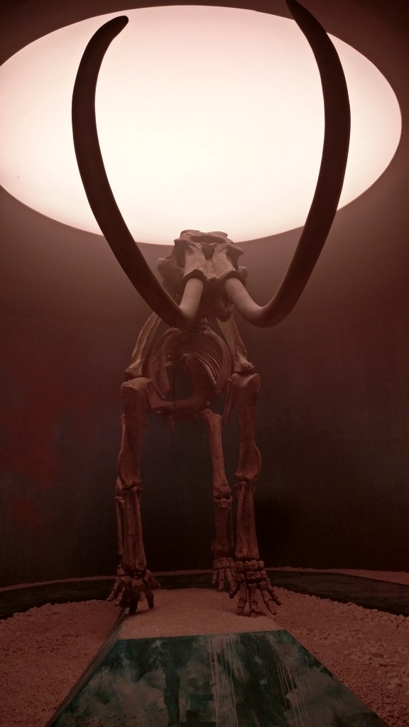 Mammoth skeleton