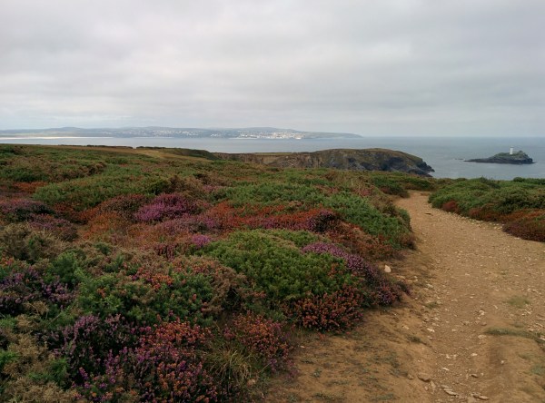 Godrevy headland