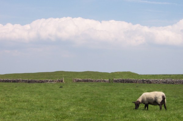 Arbor Low from South West