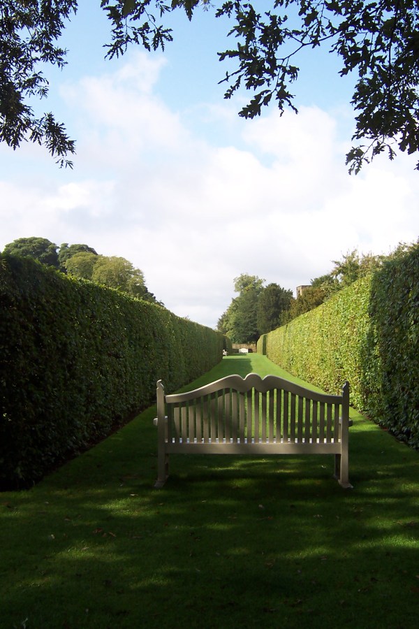 Hedge avenue